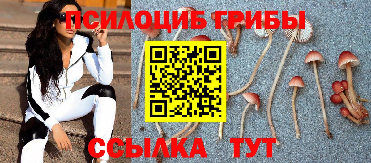 Галлюциногенные грибы GOLDEN TEACHER Уварово