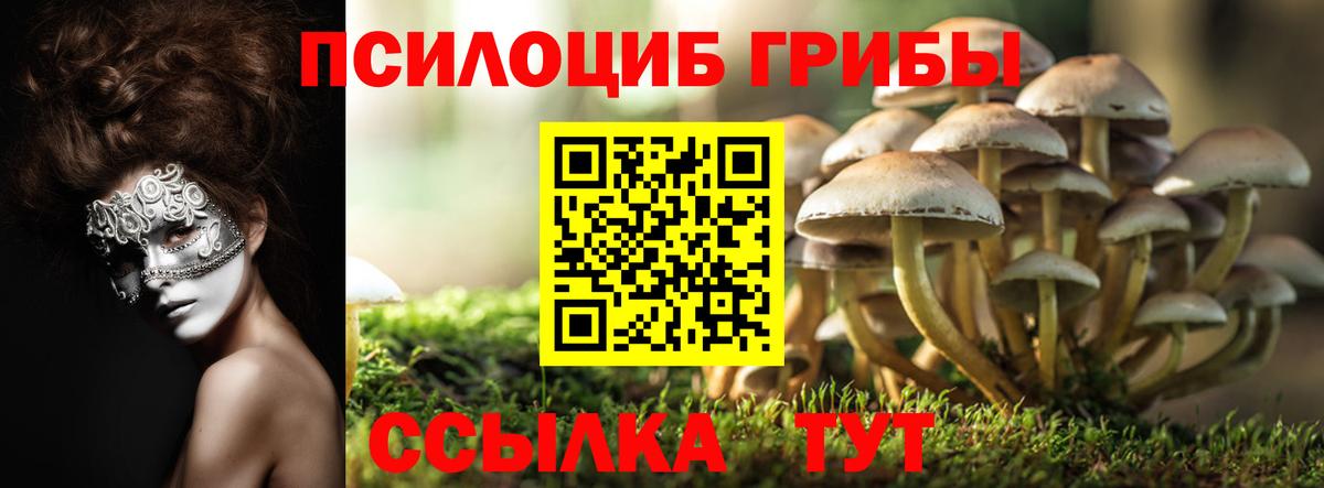 Галлюциногенные грибы GOLDEN TEACHER  Вход с VPN  Псилоцибиновые грибы MAGIC MUSHROOMS  Уварово 